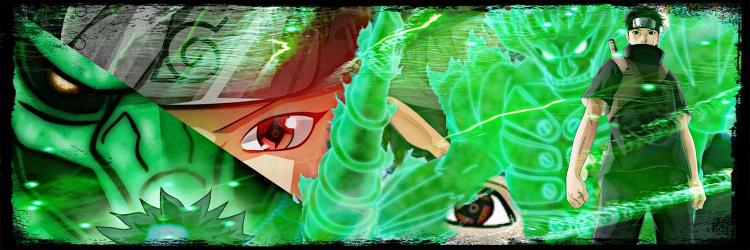 Nicolas banner