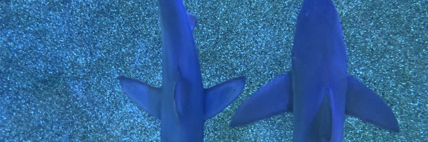 andreasurwyler's profile banner image