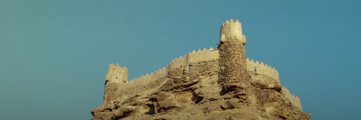 alkalidi11's profile banner image