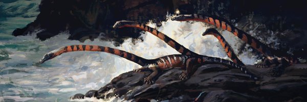 caxela1 Profile Banner