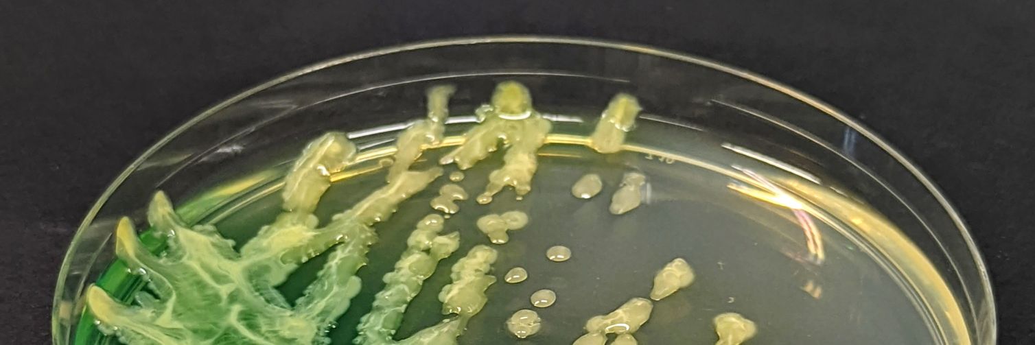 Dr. Matthew Shepherd banner