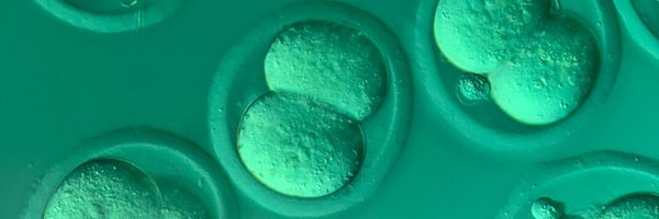 AntoineMolaro Profile Banner