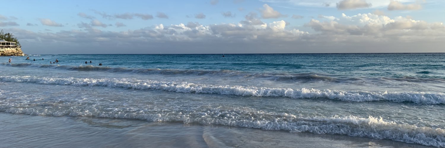welleslz's profile banner image
