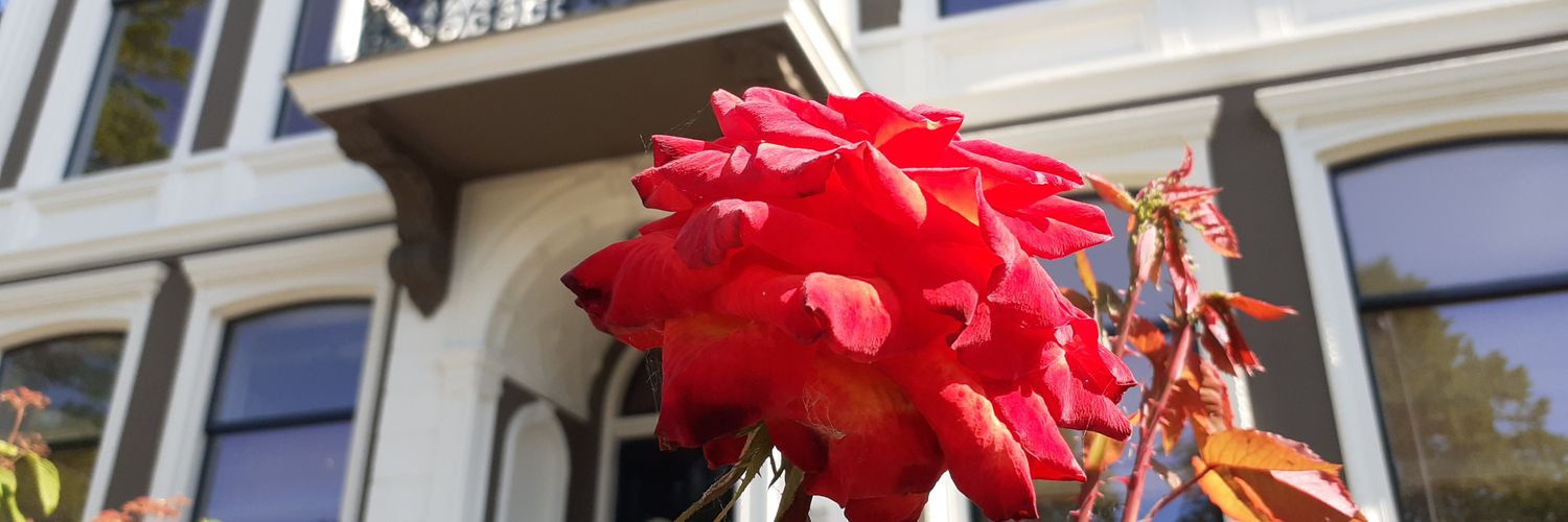 Eilandgroningen's profile banner image
