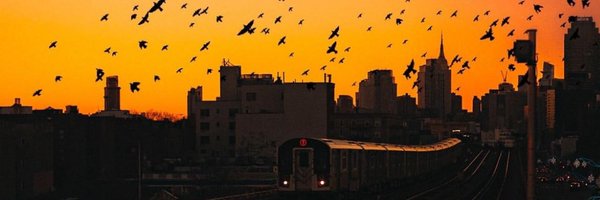 brnyjr Profile Banner