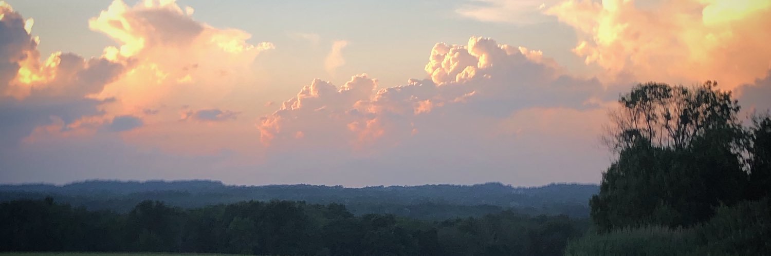 Elizabeth Joseph banner