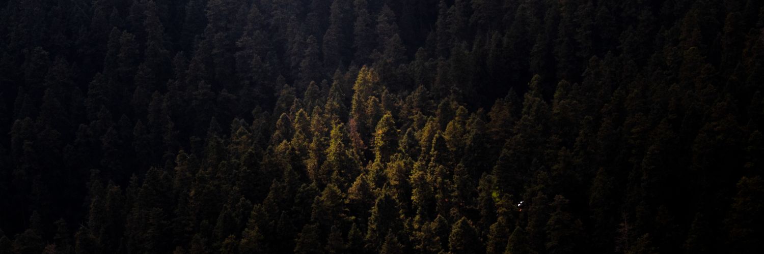 ayuso42's profile banner image