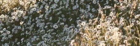 ery_11's profile banner image