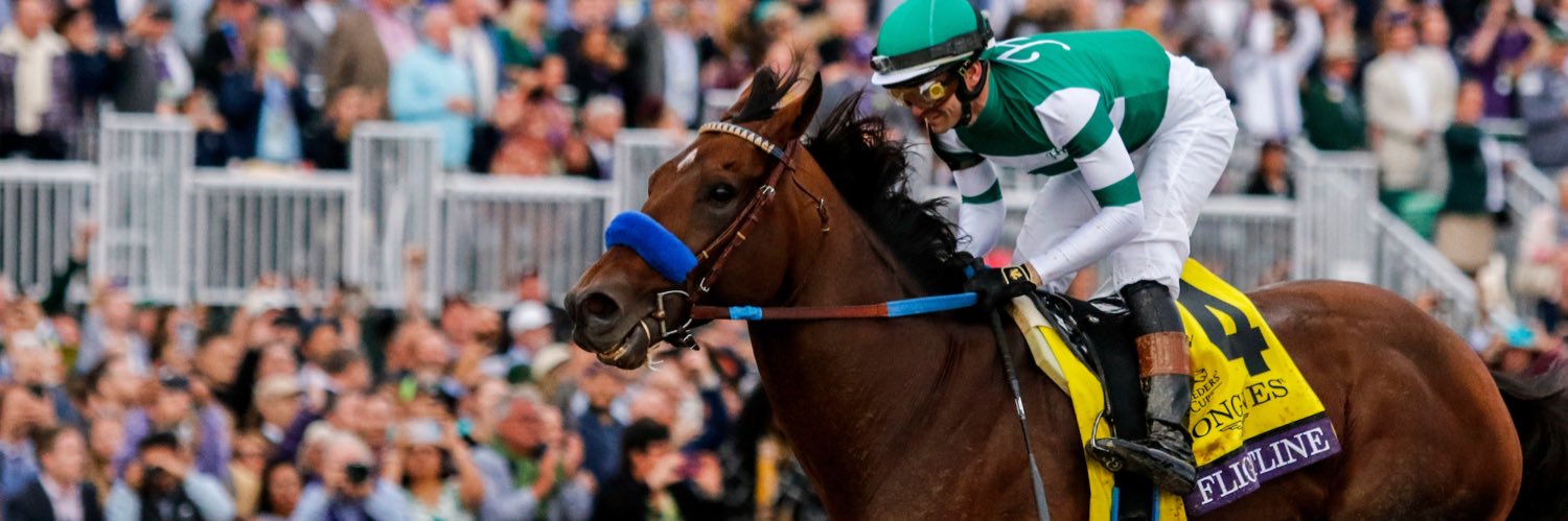 Stephanie Leal Hronis banner