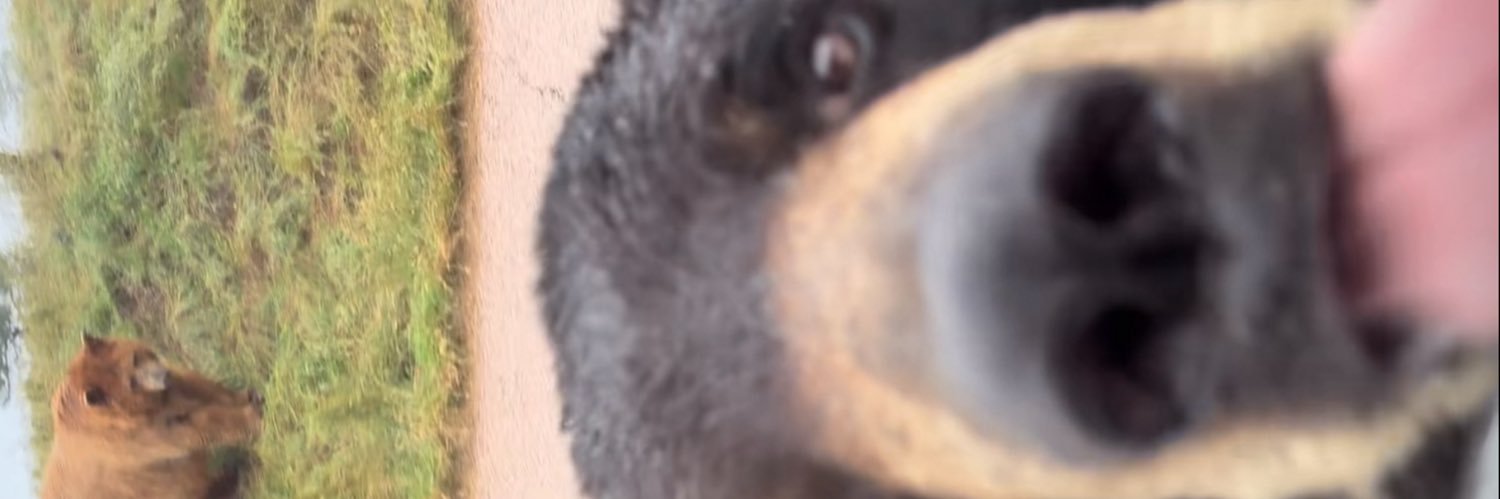 helpiaminpain's profile banner image