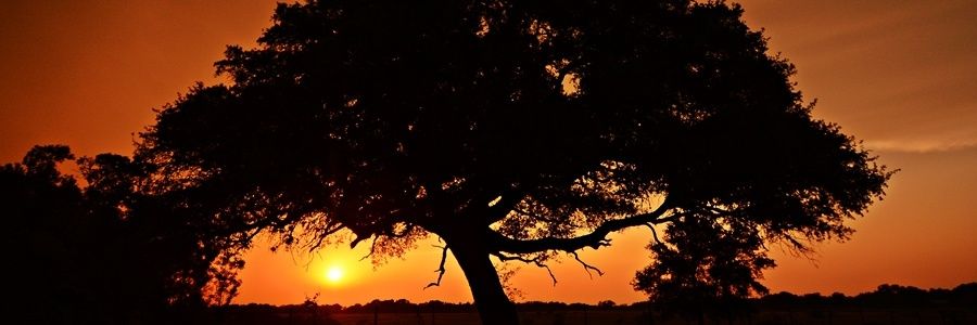 LoveStephyMarie's profile banner image