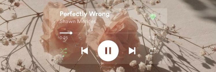 mendesxgioo's profile banner image