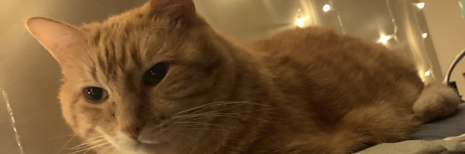 TaylorIngramWx's profile banner image