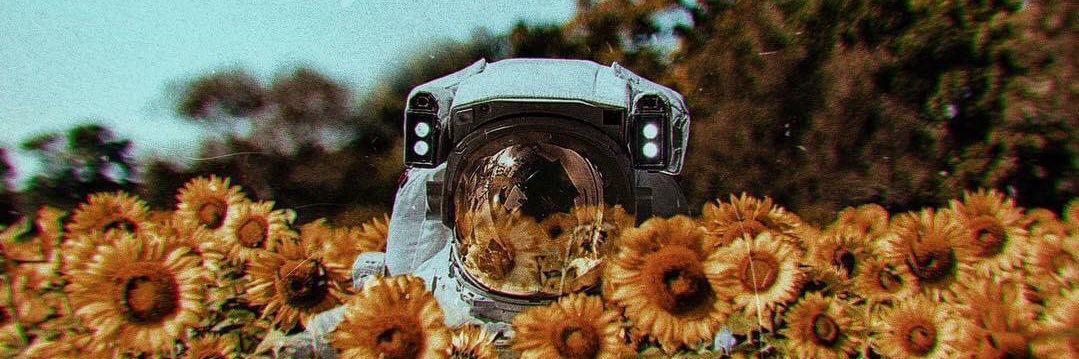 STACYsauraus's profile banner image