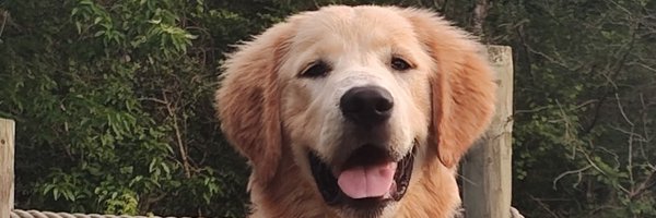 Tyler69407713 Profile Banner