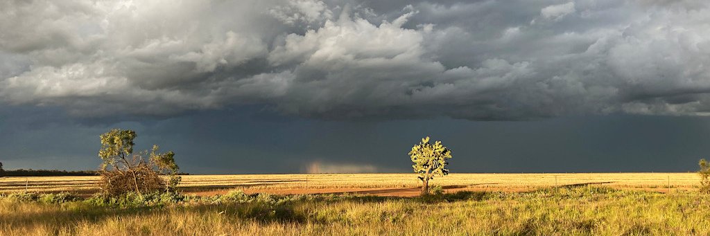 The Royal Geographical Society of Queensland banner