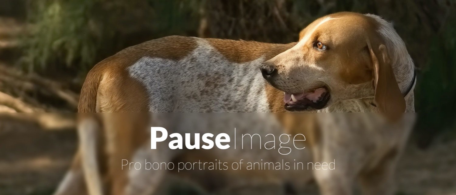 PauseImage's profile banner image
