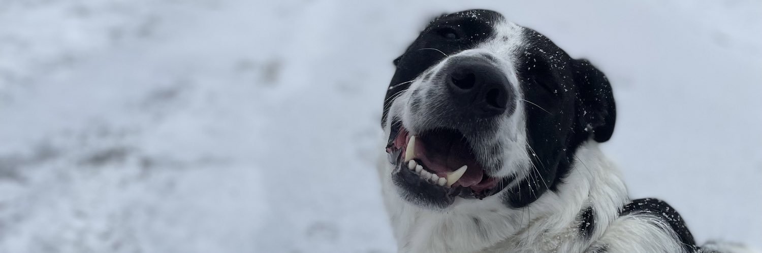 AidenMacomber's profile banner image