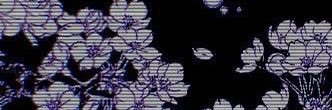 ~ banner