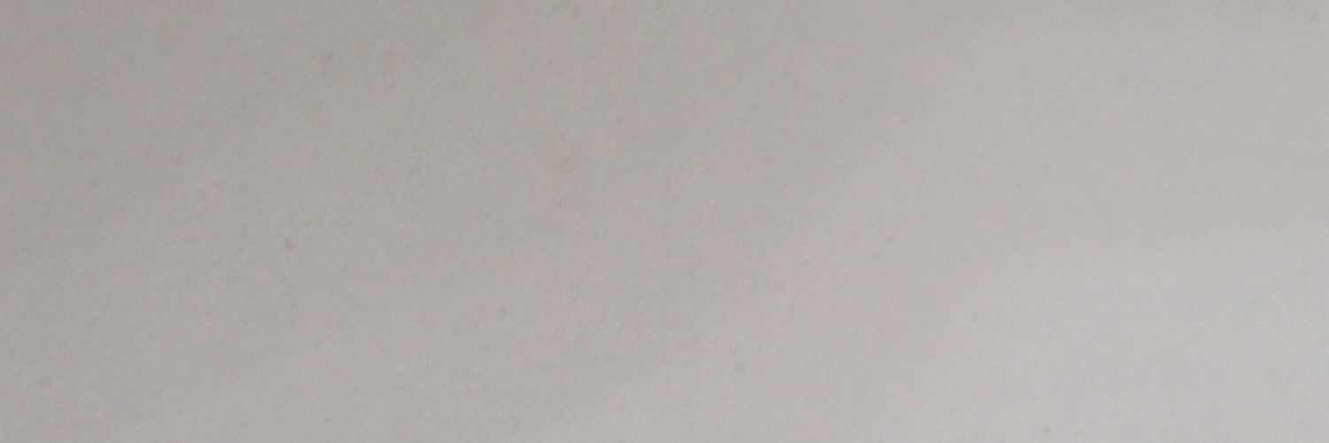 canelitapty's profile banner image