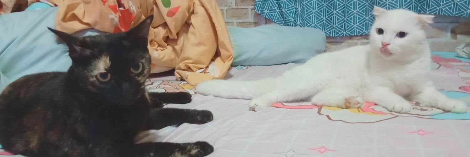 น้องบอย banner
