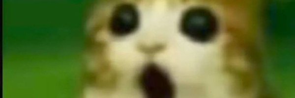 xSeege Profile Banner