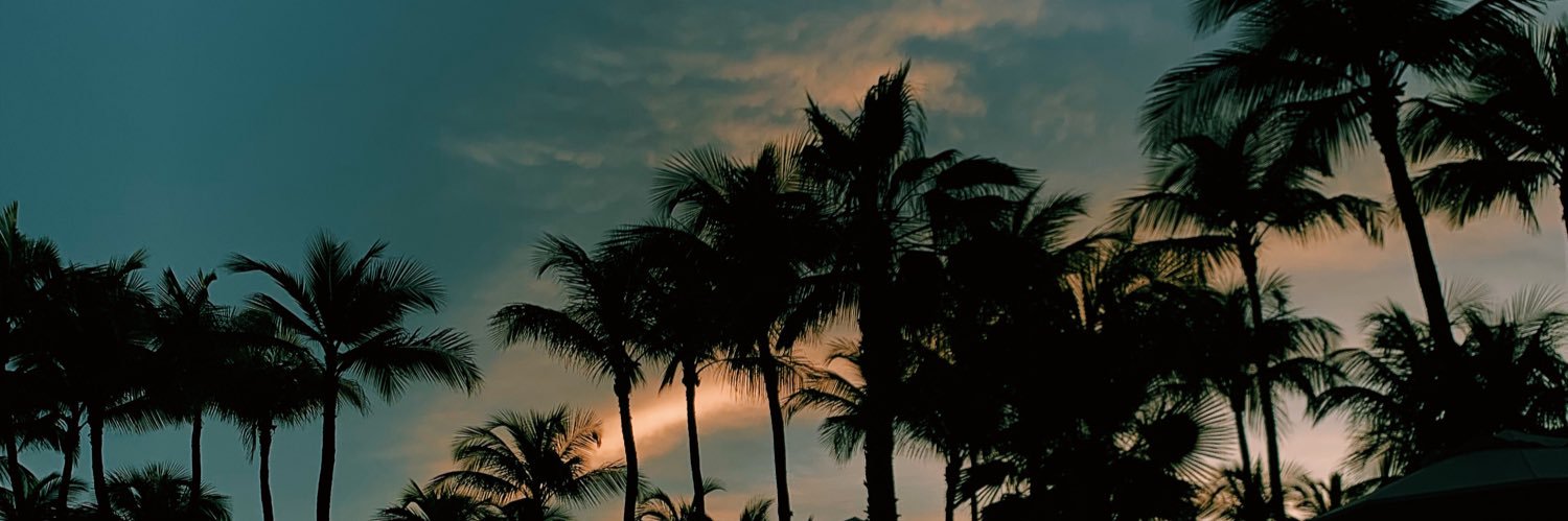DalessandroCami's profile banner image