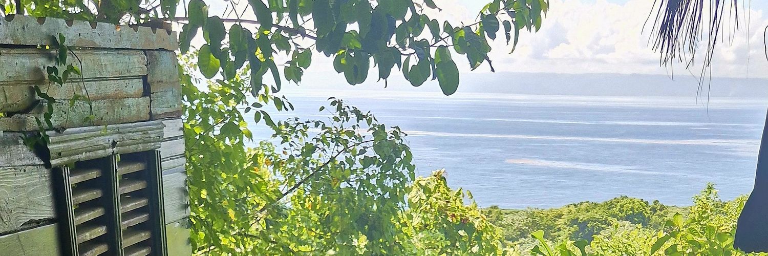 KGuillermin's profile banner image