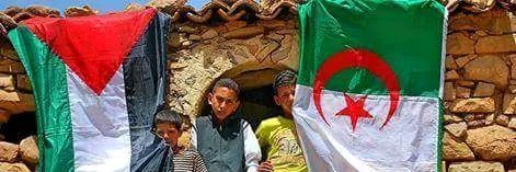 🇩🇿آبًوٌ يَزٍنِ banner