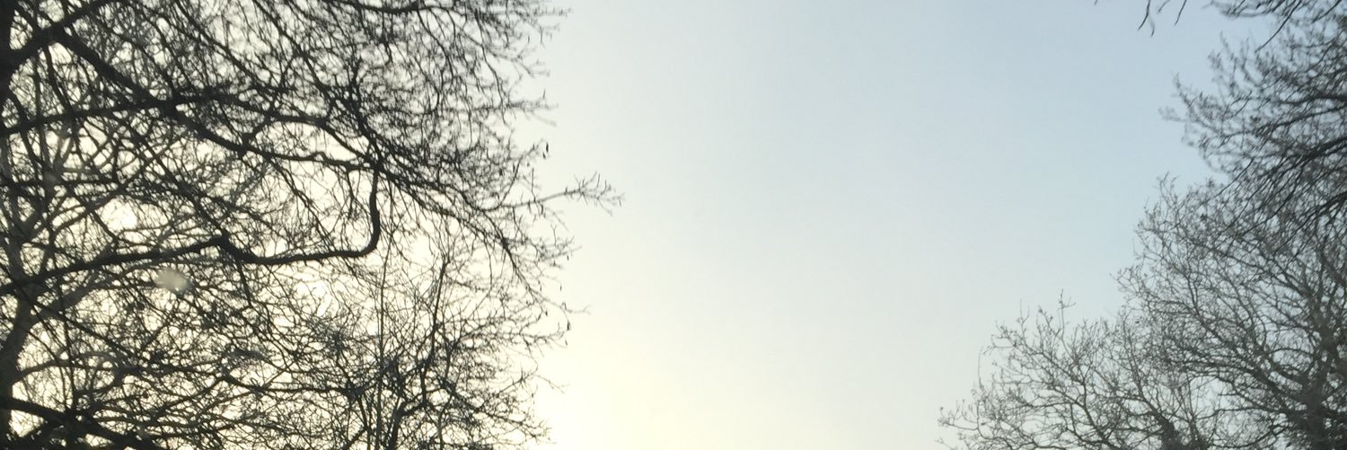 HBarnbrook's profile banner image