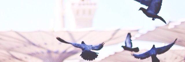 1415Dreams's profile banner image