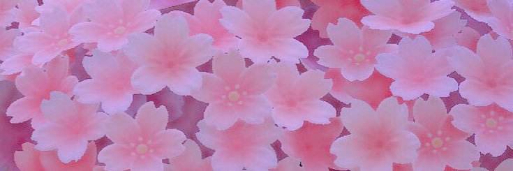🎀 banner