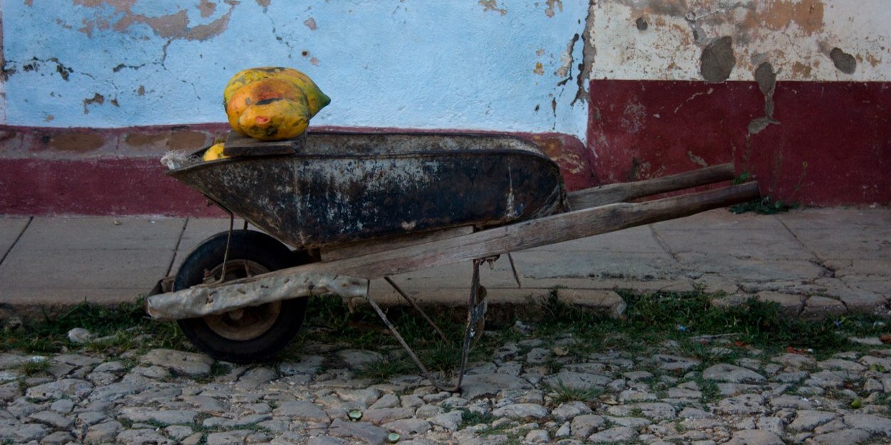 Fionn Travers-Smith banner