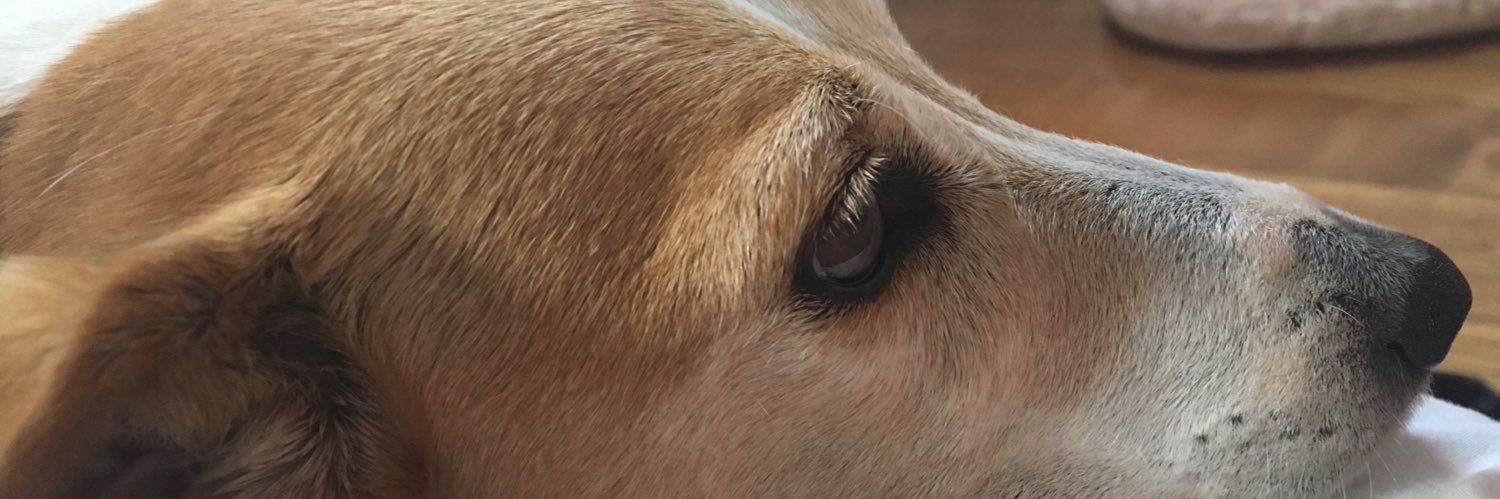 📌LA SNOB 📌🇮🇹 banner