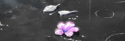 chwe banner