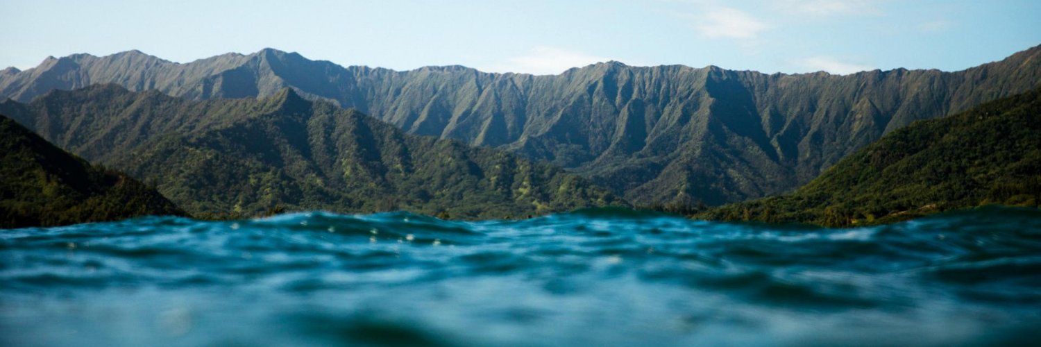 reallybadwriter banner