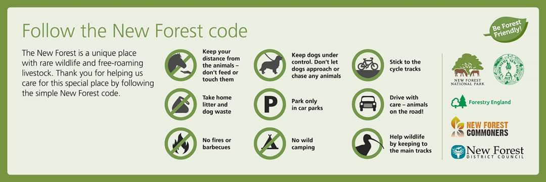 New Forest Verderers banner