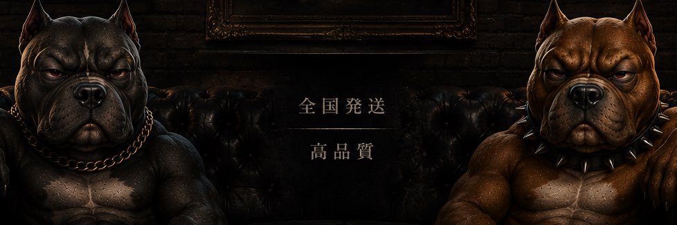 pit2sub's profile banner image