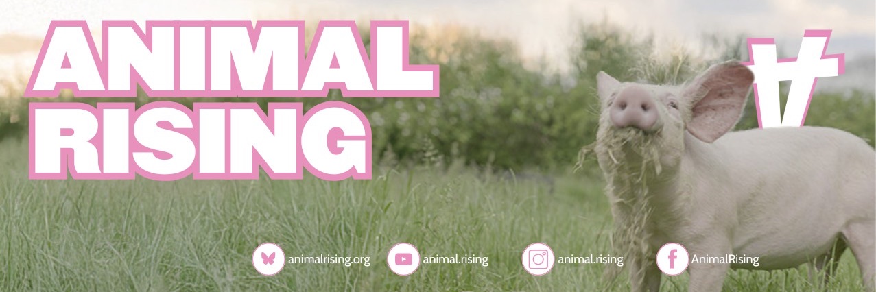Animal Rising's banner