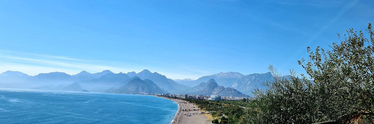 ✨Ms Chief✨ banner