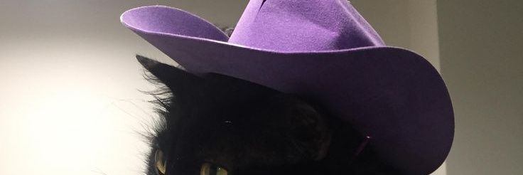 mesademon's profile banner image