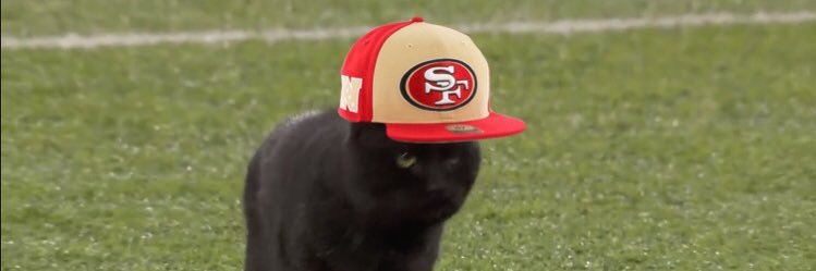 Niner Jage banner
