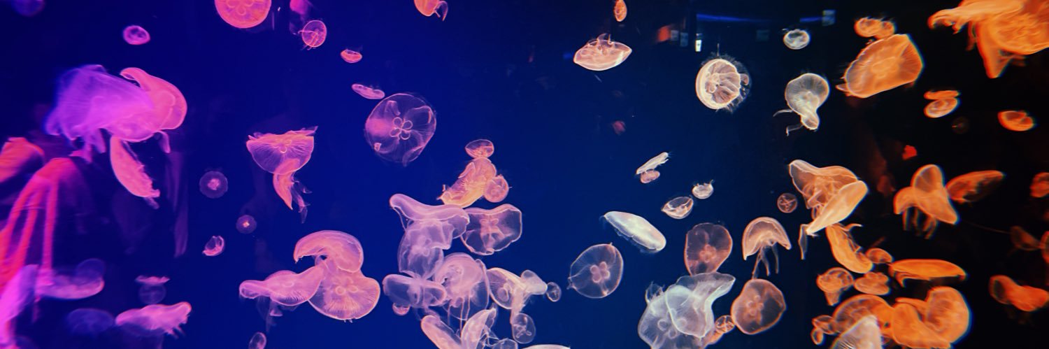 가짜 한국인 banner