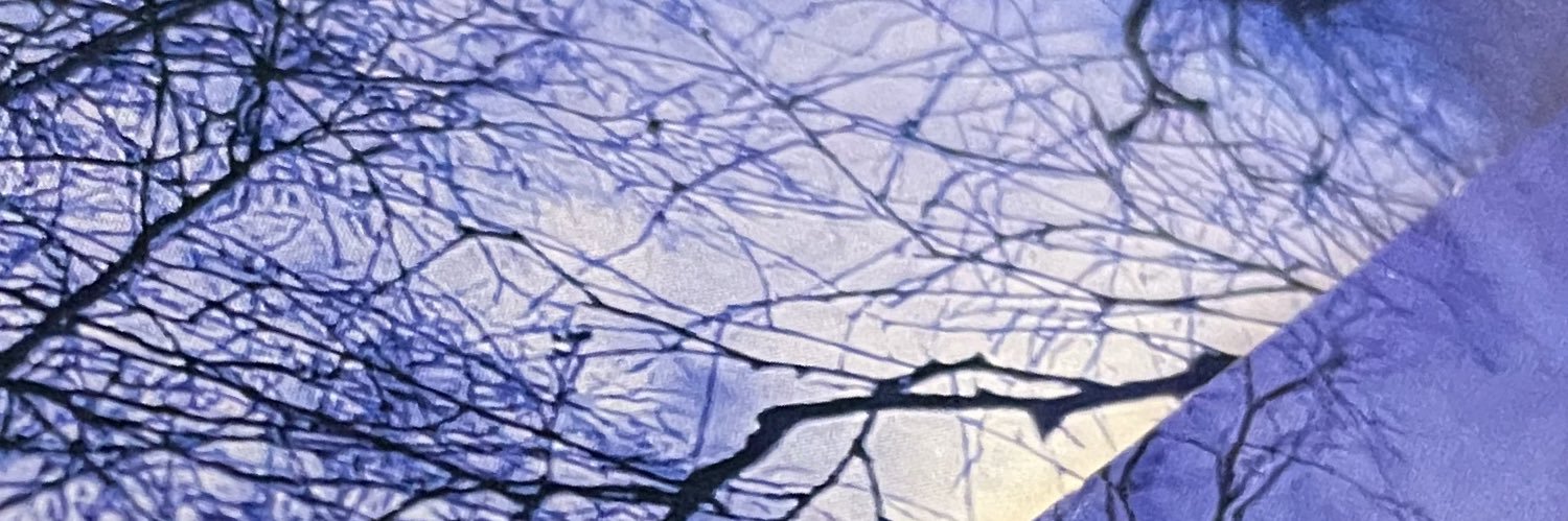 LuLi banner