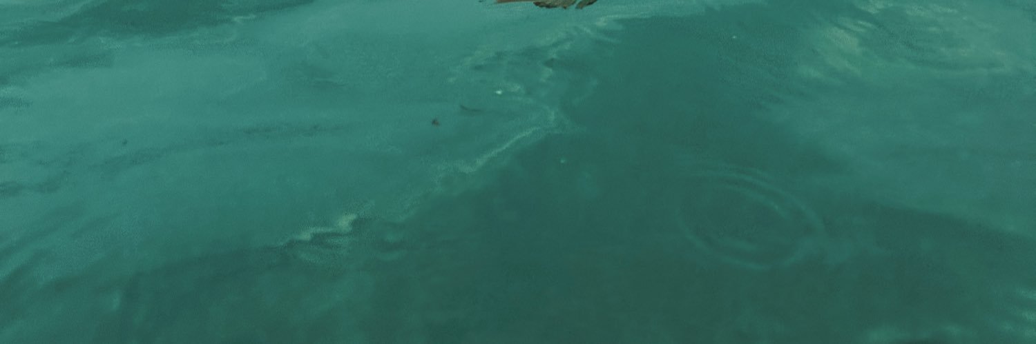 smye6's profile banner image