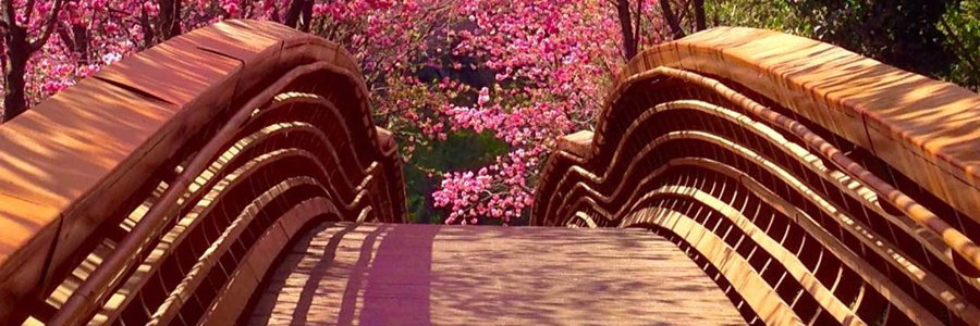 luzrivera58's profile banner image