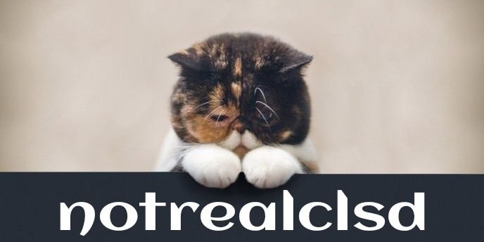 notrealclsd's profile banner image