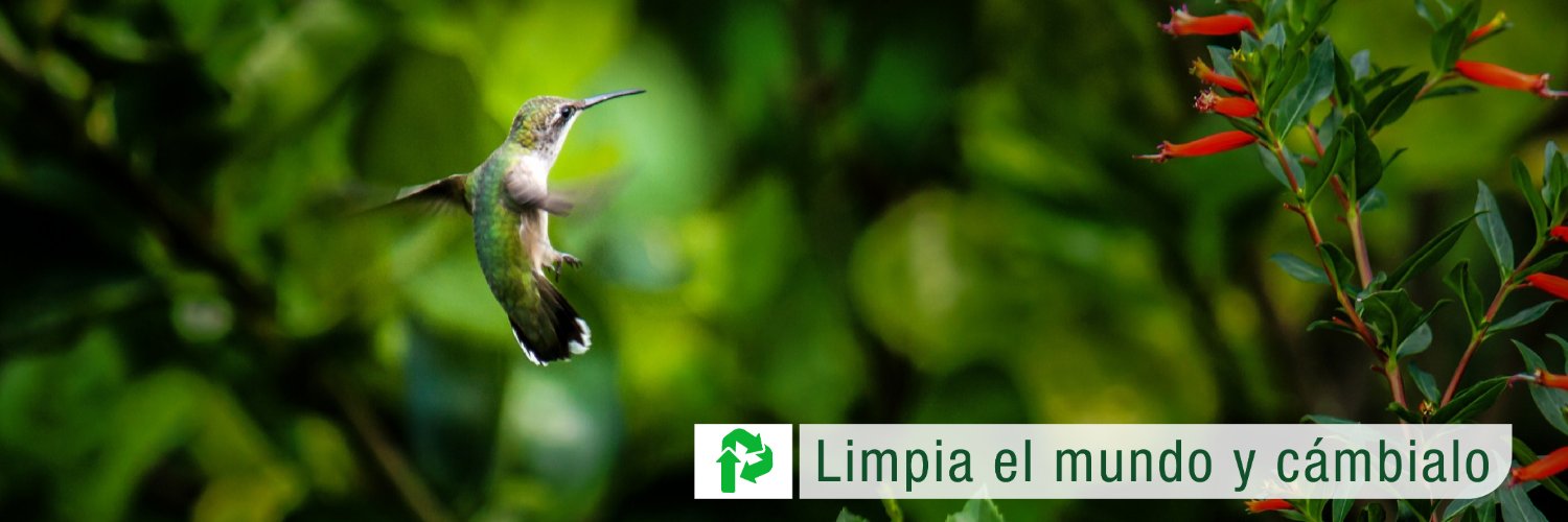 Prosuplas's profile banner image