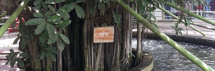 Gapangman's profile banner image