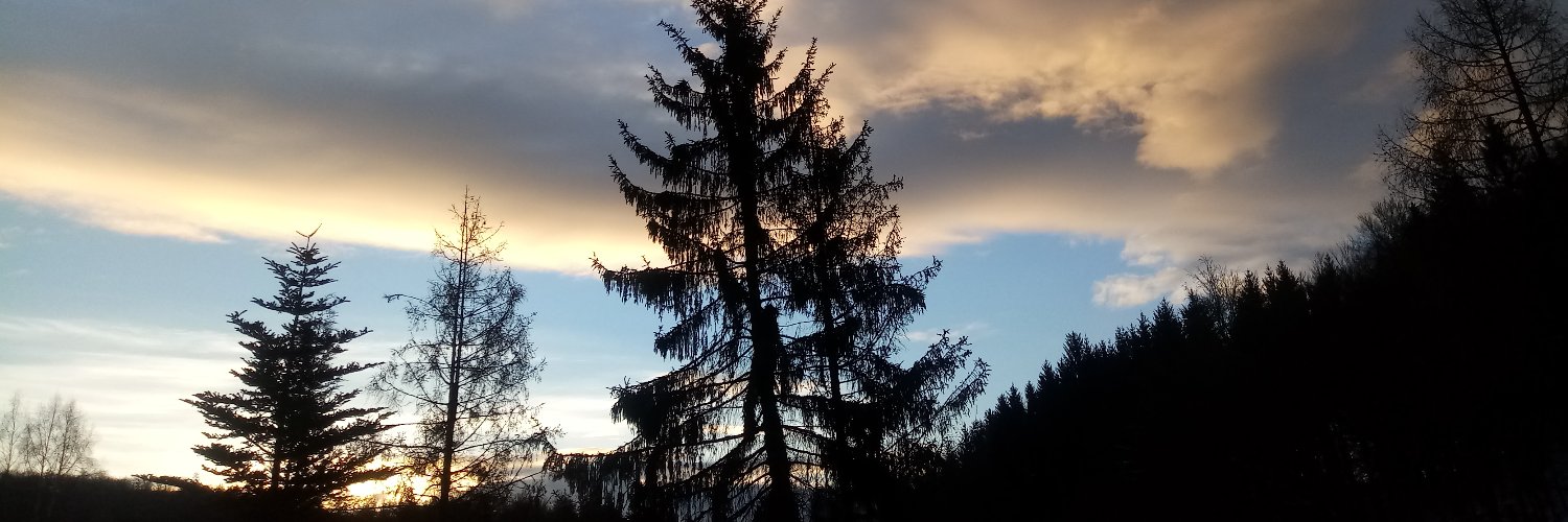 DerHoheSpatz77 banner